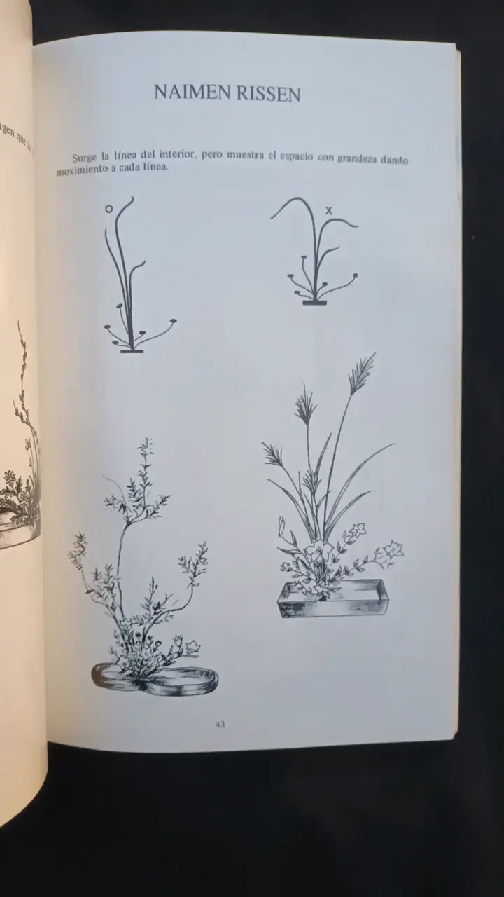 Libro Kado Sanguetsu Ikebana sobre arte floral - 5