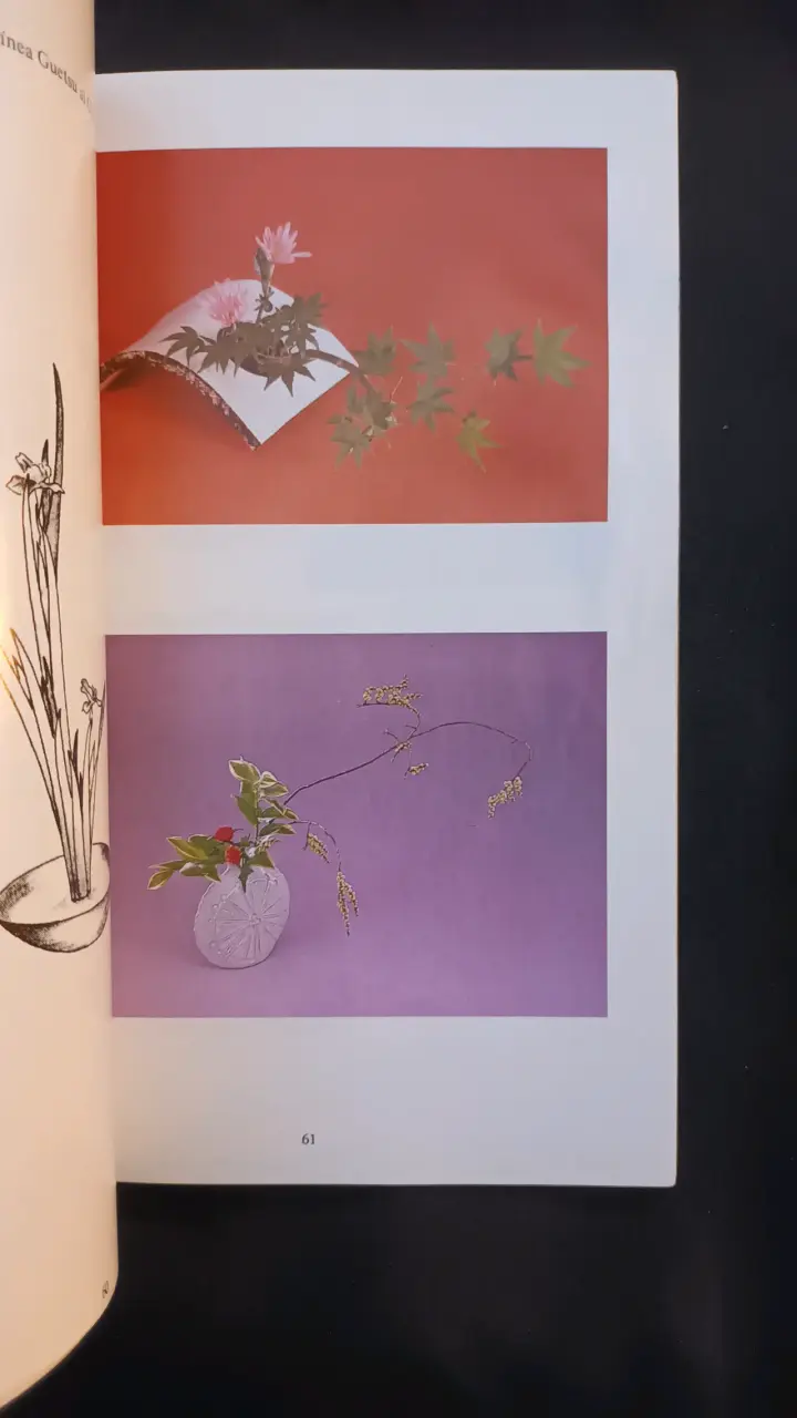 Libro Kado Sanguetsu Ikebana sobre arte floral - 6