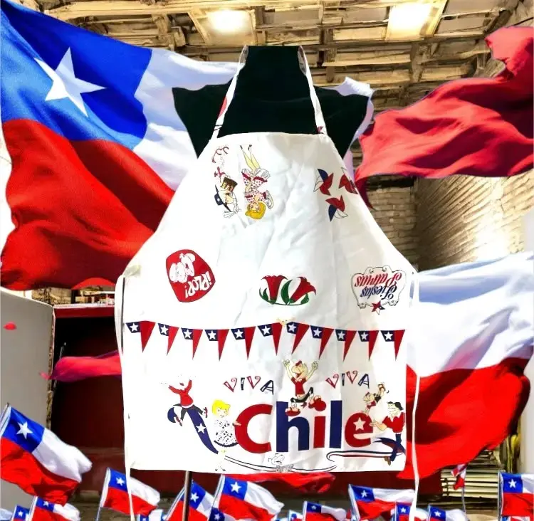 5 delantales fiestas patrias - 3