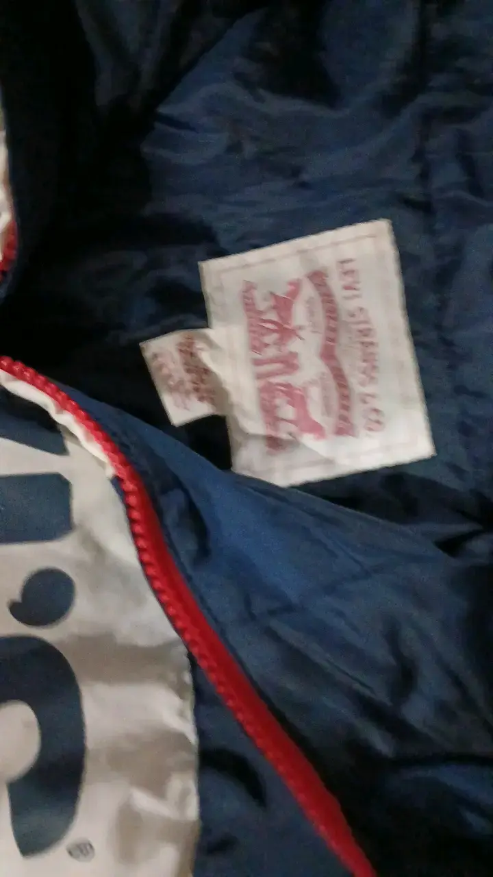 Chaqueta Levi's tricolor con logo - 3