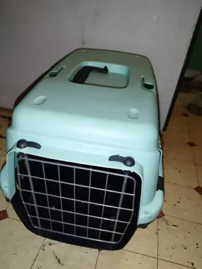Transportadora de mascotas plástica verde - miniatura 1