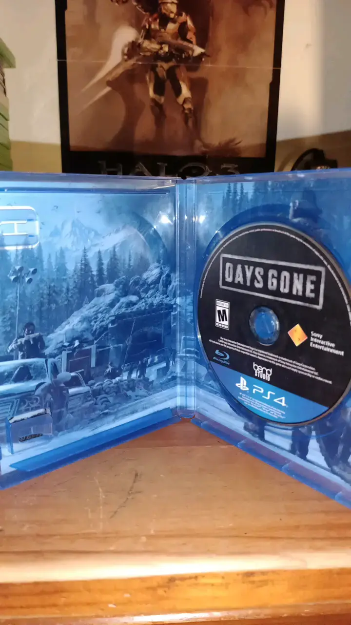 Days Gone en buen estado - 2