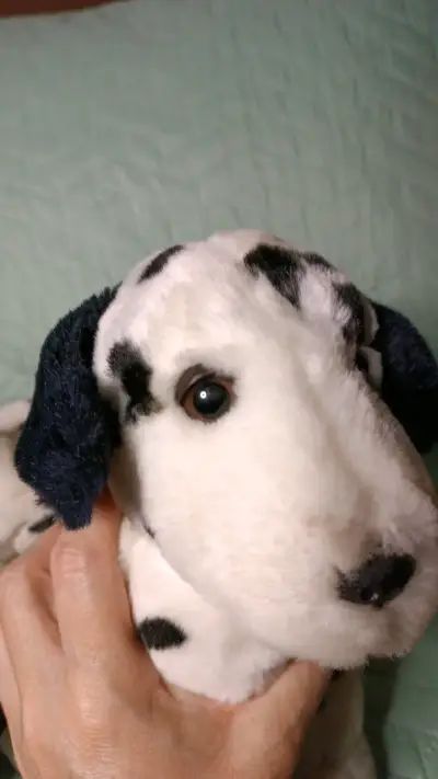Peluches de dálmatas suaves y adorables - miniatura 5