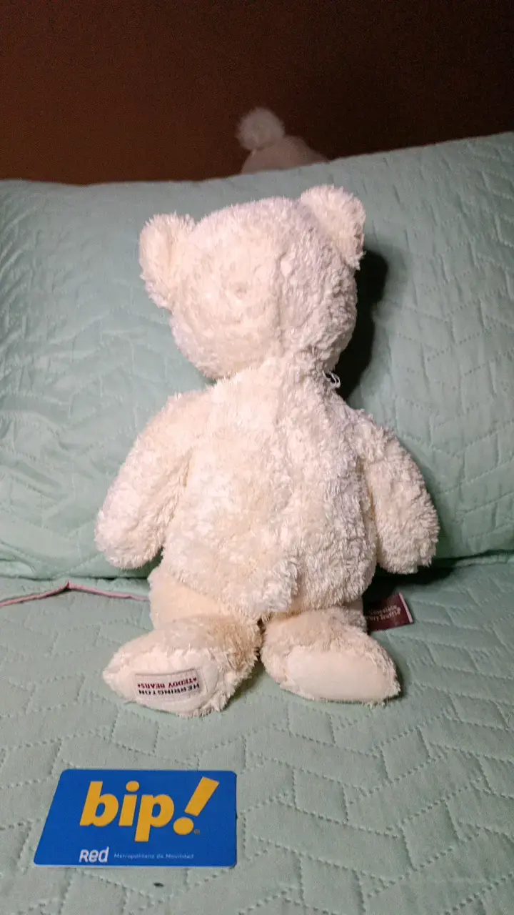 Osito de peluche blanco suave - 3