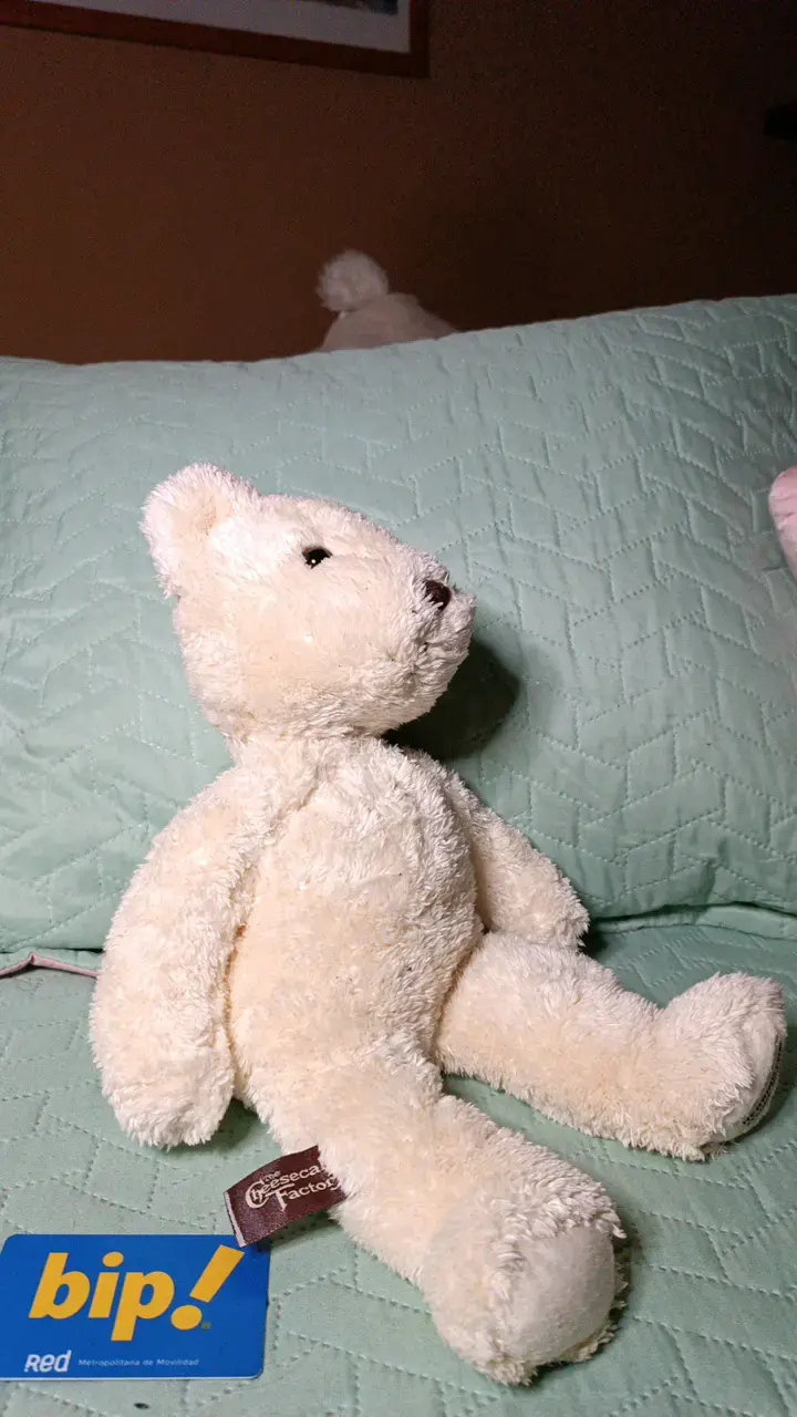 Osito de peluche blanco suave - 4