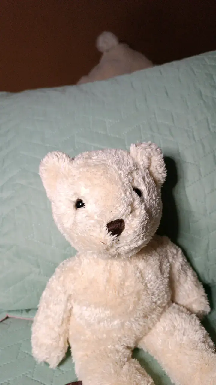 Osito de peluche blanco suave - 5