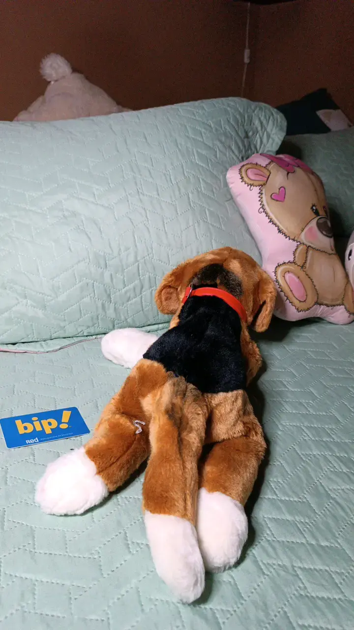 Peluche de perro Beagle muyy suave y tierno - 3