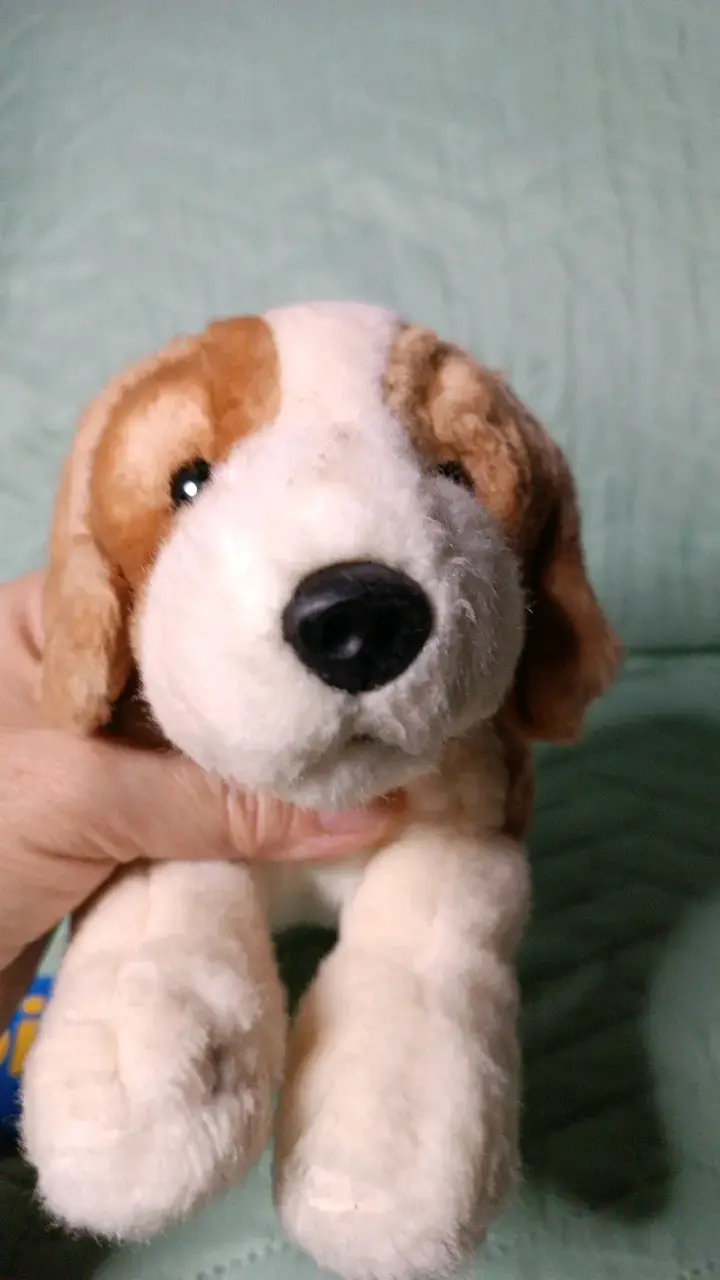 Peluche de perro beagle muy suave y tierno - 5