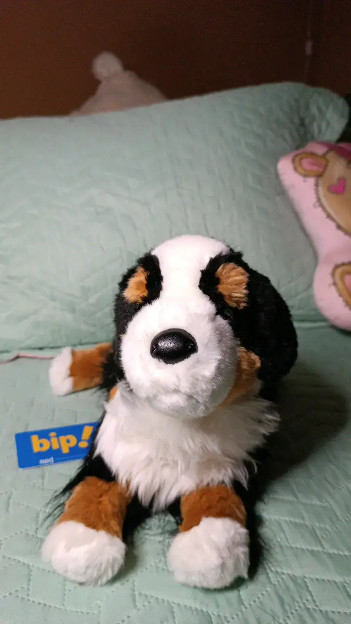 Peluche de perro Bernés de peluche suave - 1