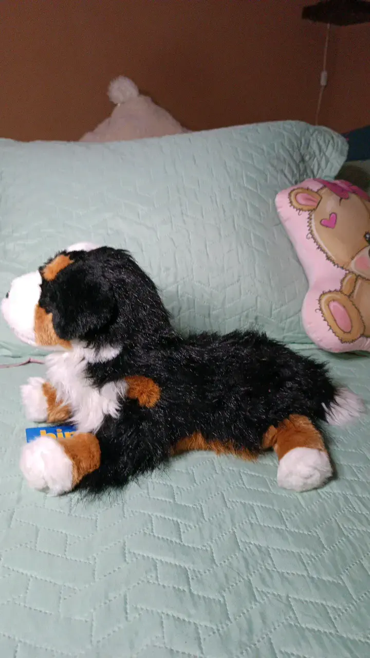 Peluche de perro Bernés de peluche suave - 2