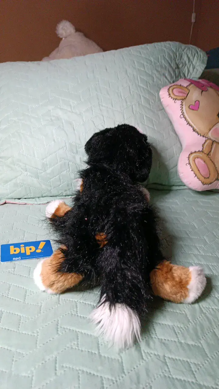 Peluche de perro Bernés de peluche suave - 3
