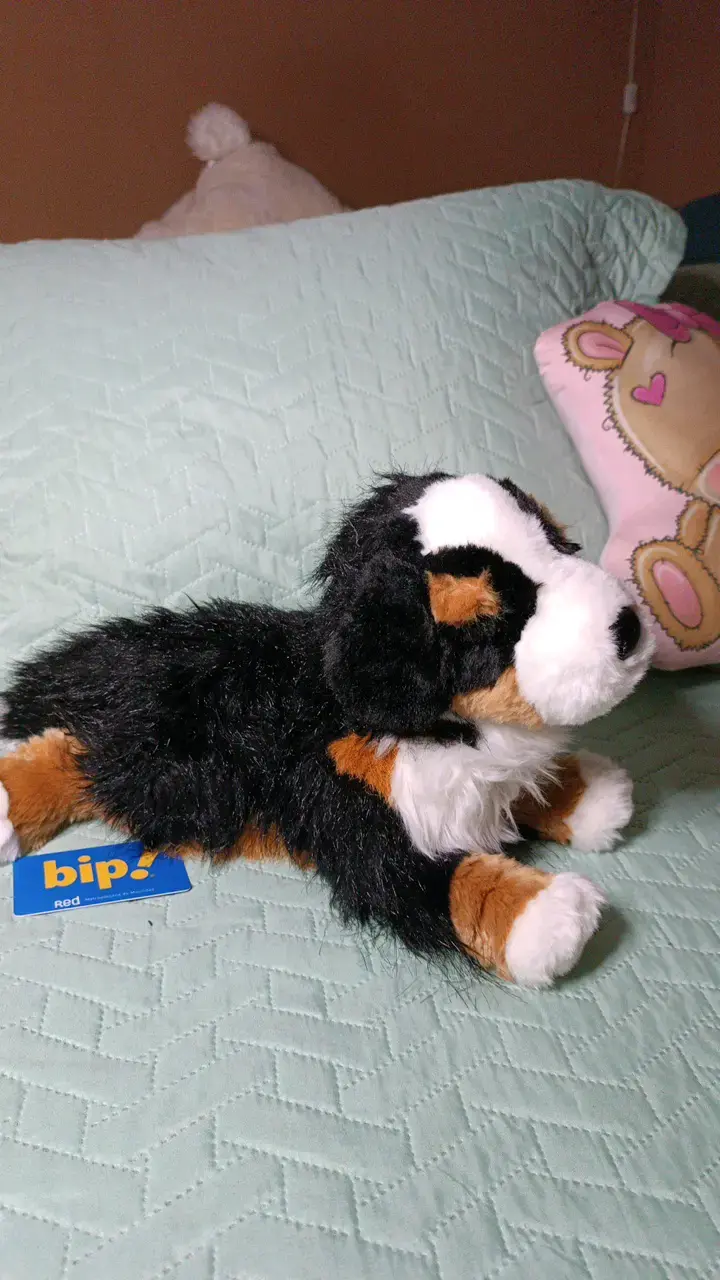 Peluche de perro Bernés de peluche suave - 4