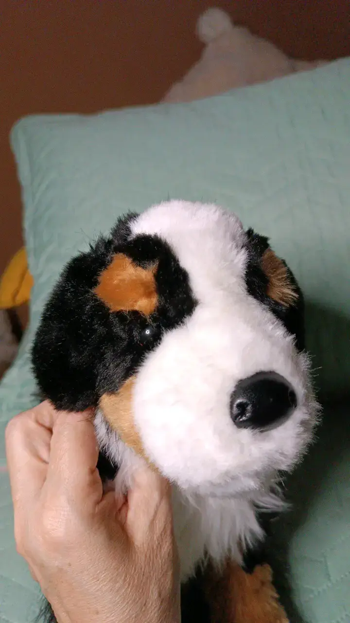 Peluche de perro Bernés de peluche suave - 5