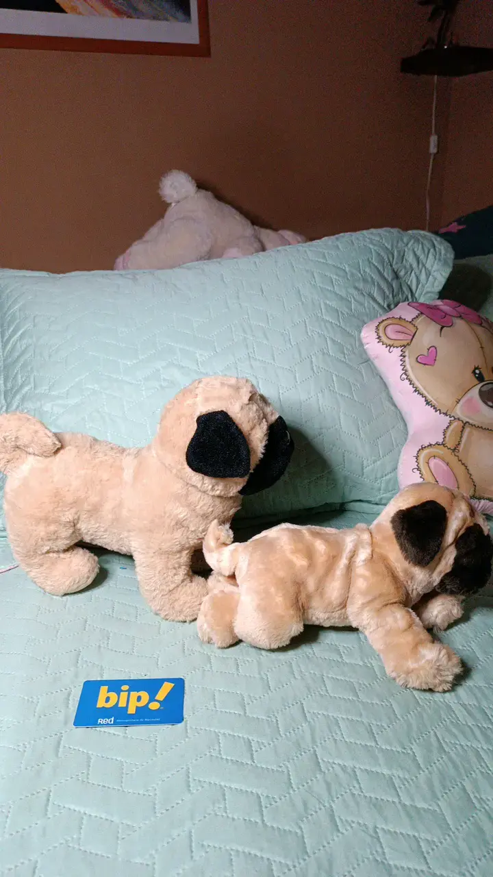 2 Peluches de perro pug suaves y adorables - 5