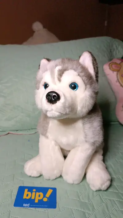 Peluche Husky Siberiano Suave y Realista - miniatura 1