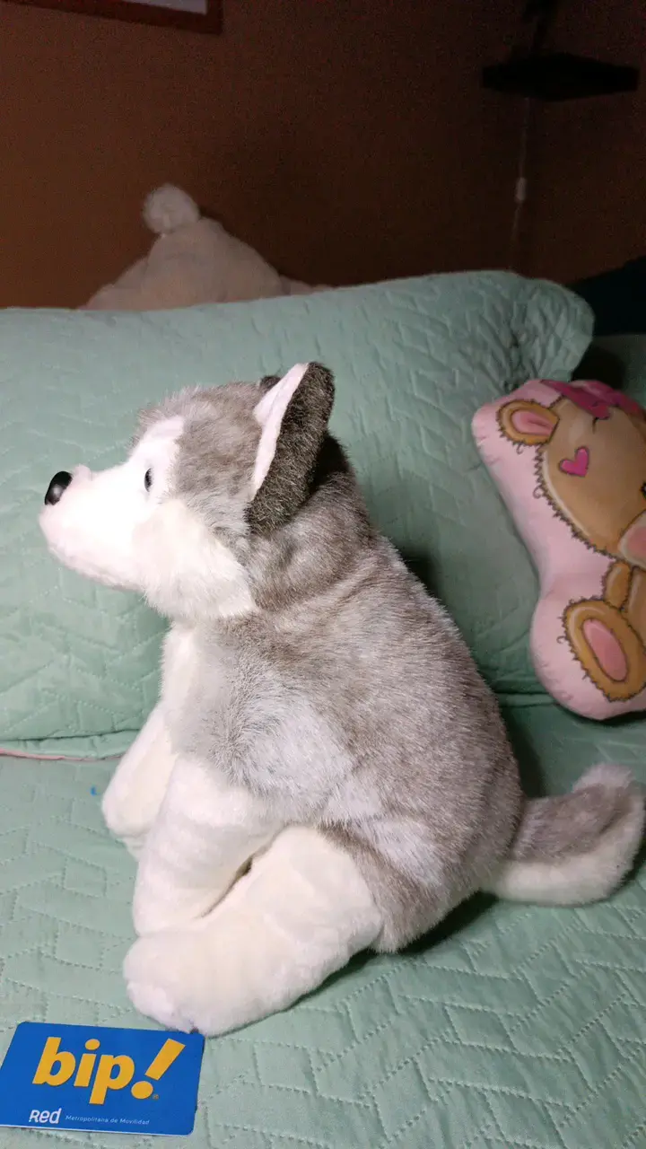 Peluche Husky Siberiano Suave y Realista - 2