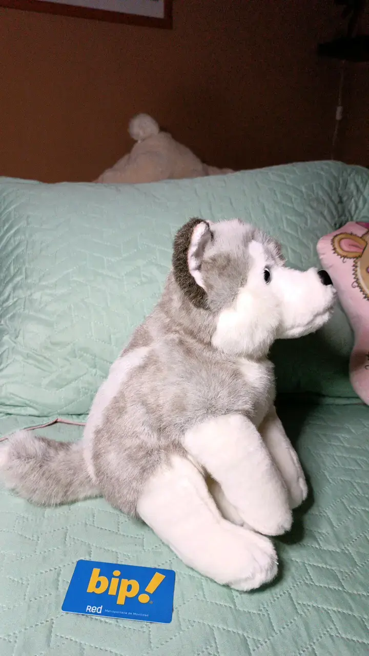 Peluche Husky Siberiano Suave y Realista - 4