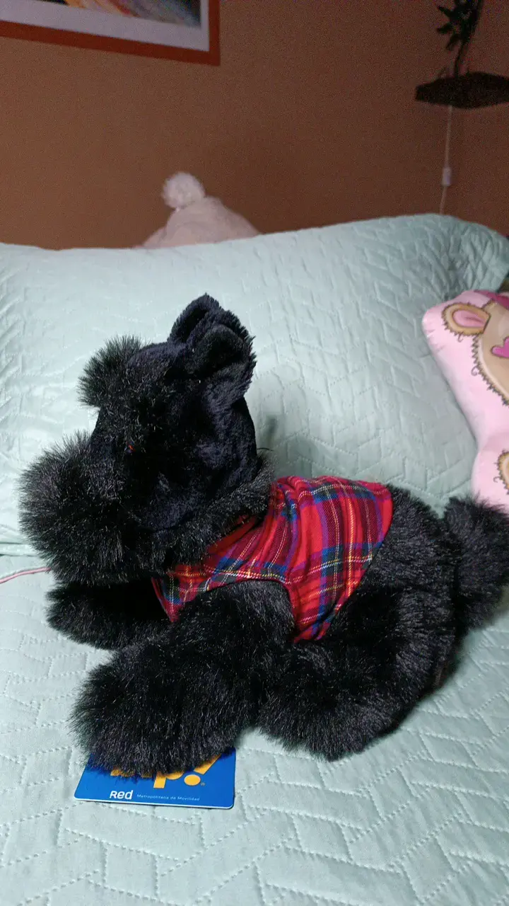 Peluche perro negro con chaleco a cuadros - 2