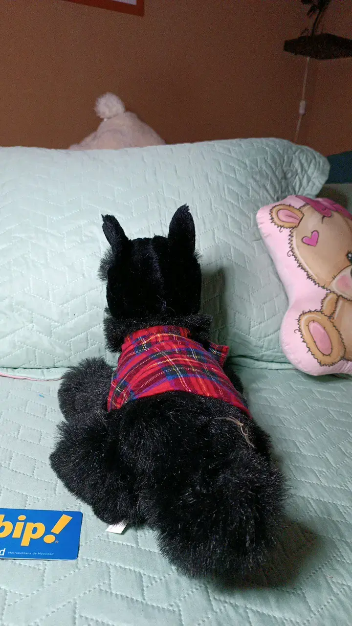 Peluche perro negro con chaleco a cuadros - 3