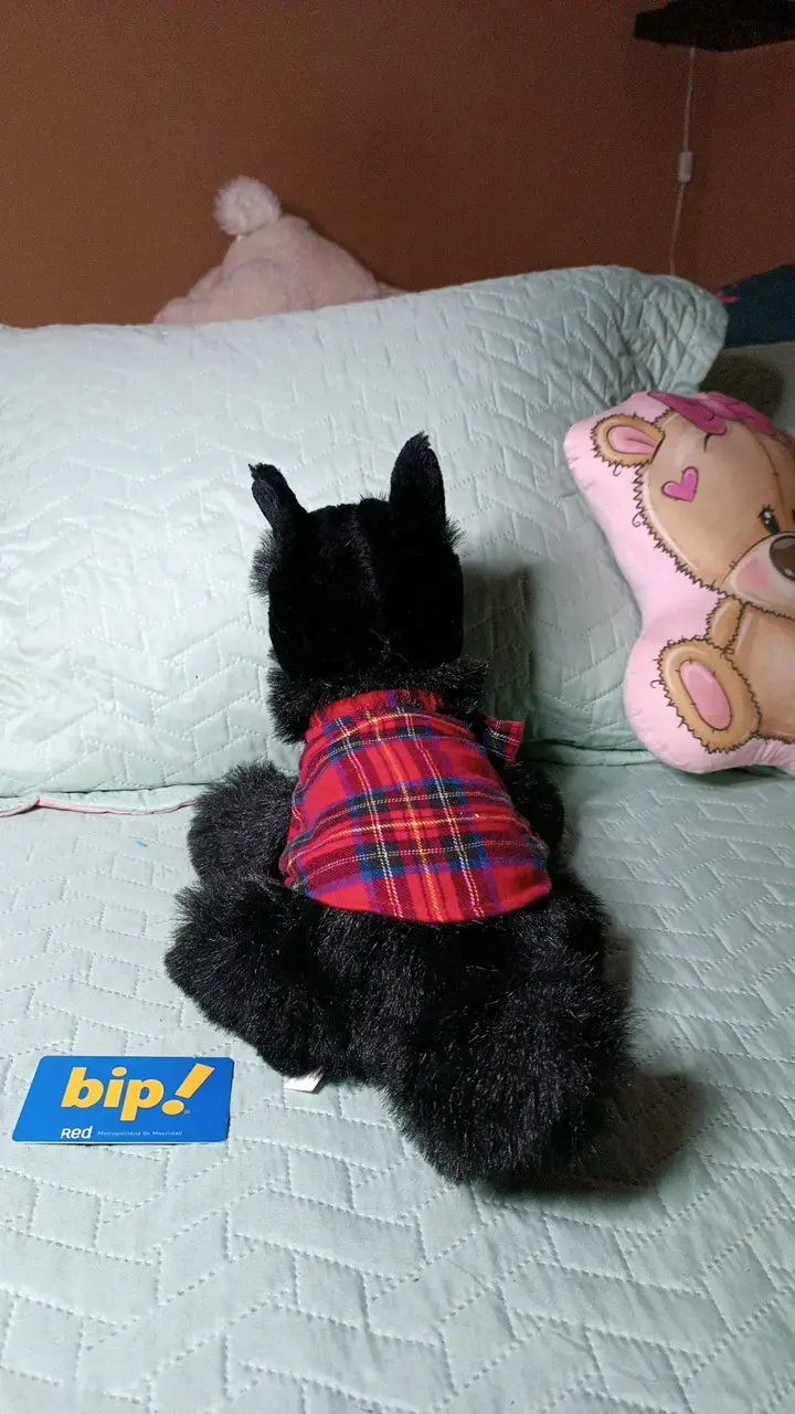 Peluche perro negro con chaleco a cuadros - 4