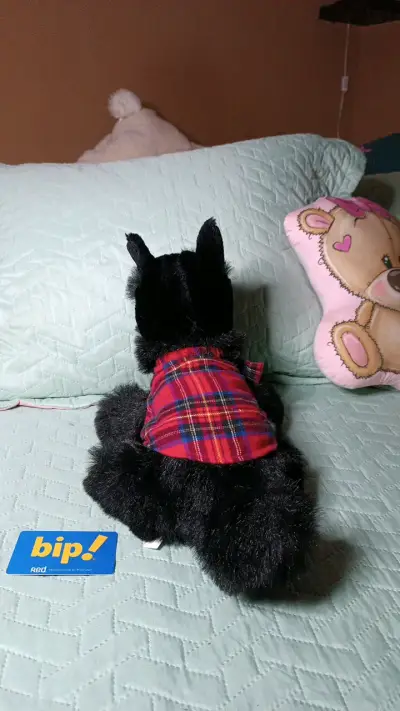 Peluche perro negro con chaleco a cuadros - miniatura 4