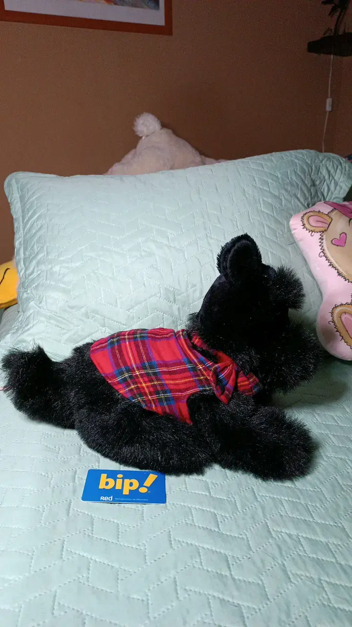 Peluche perro negro con chaleco a cuadros - 5