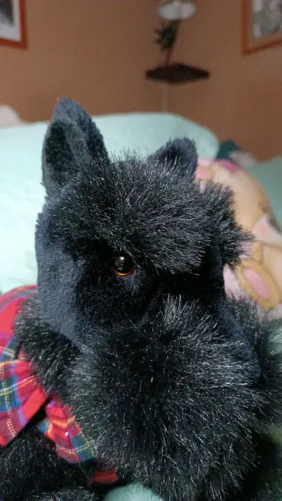 Peluche perro negro con chaleco a cuadros - miniatura 6