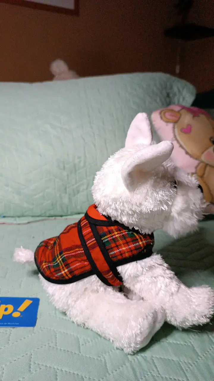 Peluche de perro blanco con chaleco escocés - 4