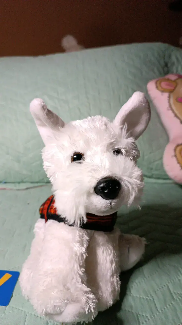 Peluche de perro blanco con chaleco escocés - 5
