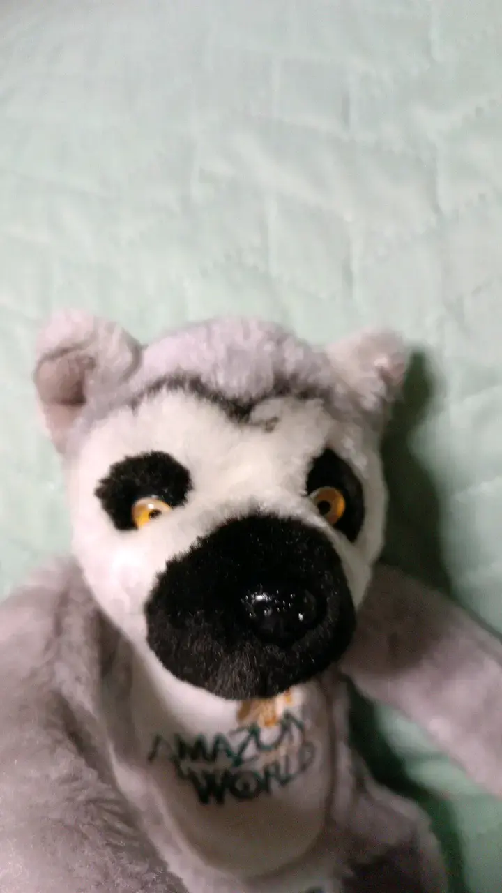 Peluche Lémur Amazon World - 5