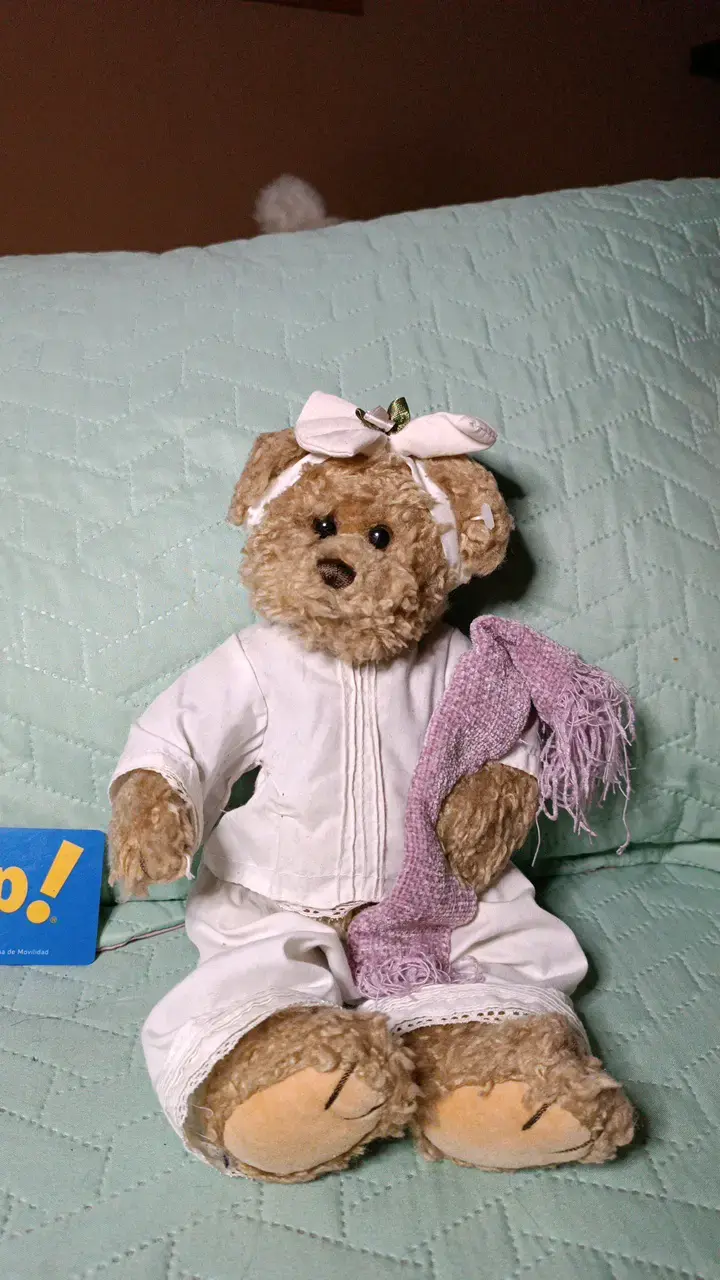 Osito de peluche Vintage - 1