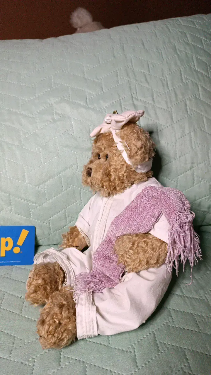 Osito de peluche Vintage - 2