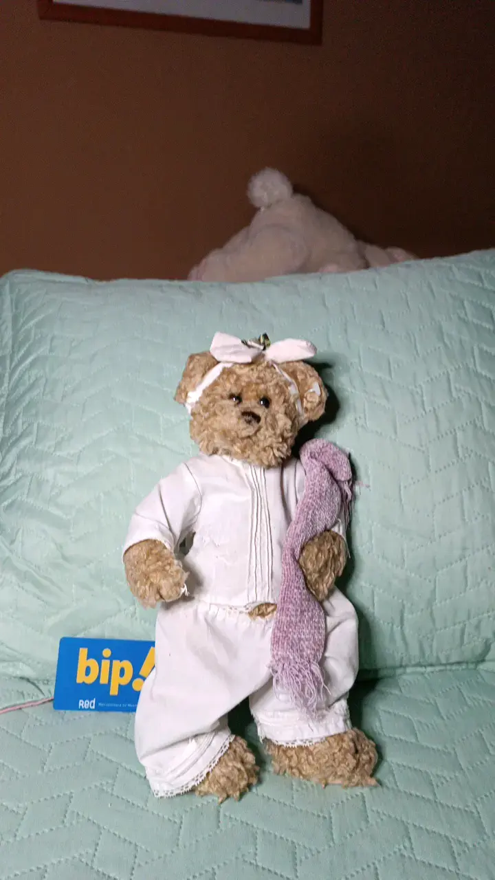Osito de peluche Vintage - 4