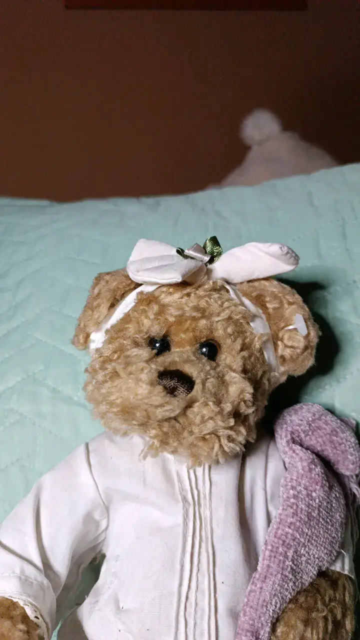Osito de peluche Vintage - 5