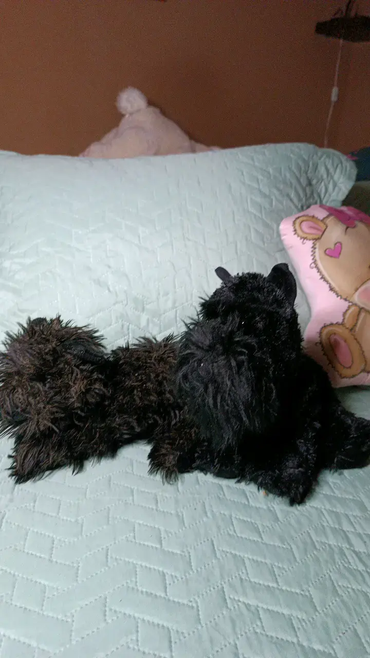 2 Peluches perros negros suaves - 1