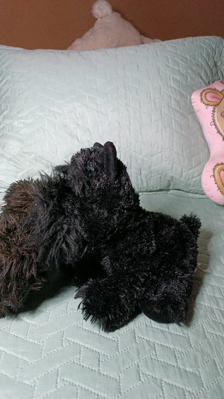 2 Peluches perros negros suaves - 3