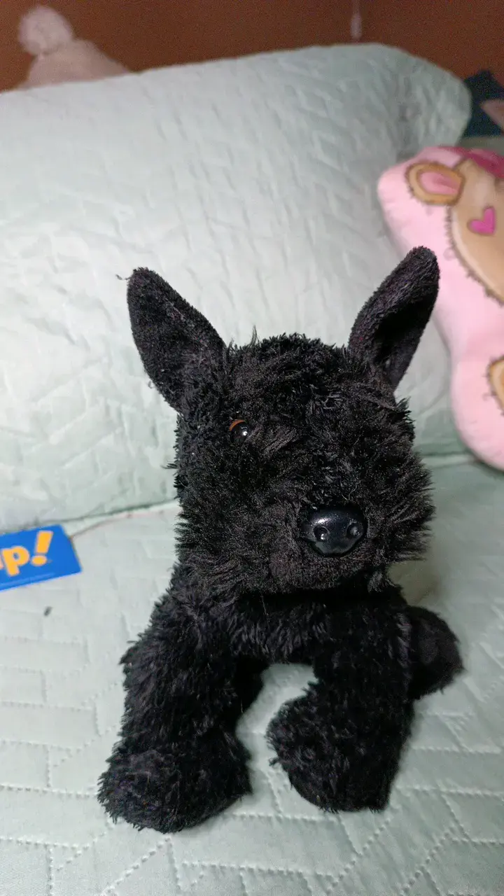 Peluche perro negro - 1