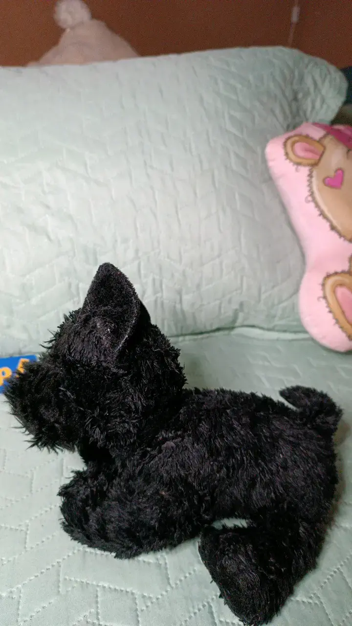 Peluche perro negro - 2