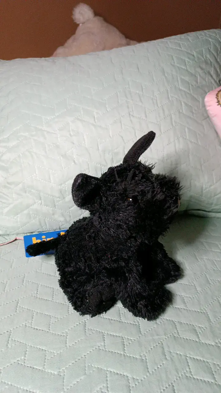 Peluche perro negro - 4