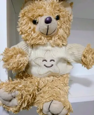 Peluches vintage distintos tamaños  y precios - miniatura 1