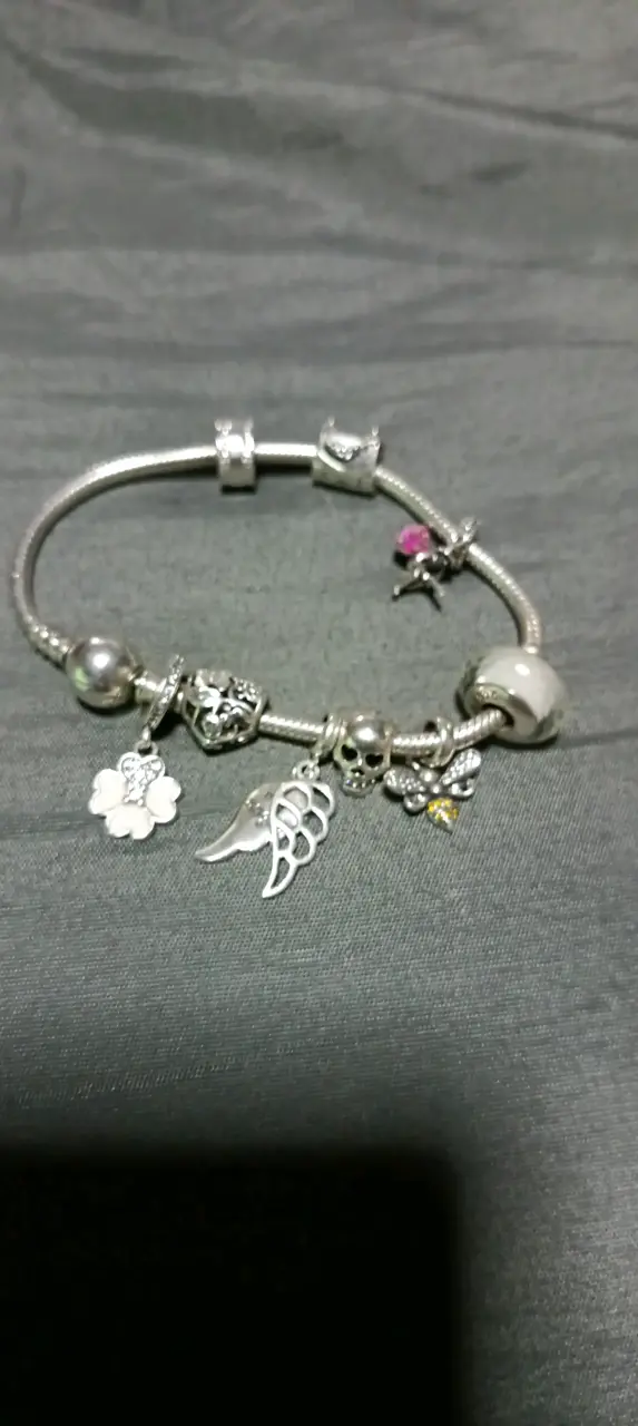 Pulsera de plata con dijes variados - 2