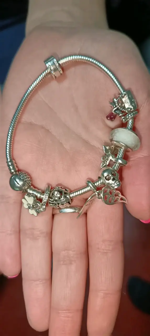 Pulsera de plata con dijes variados - 5