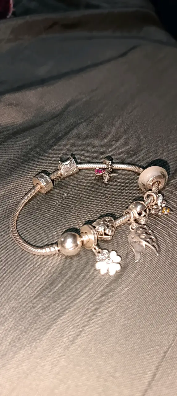 Pulsera de plata con dijes variados - 6