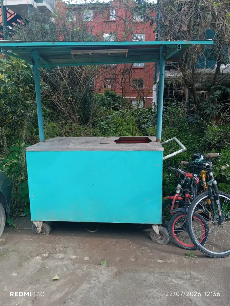 Carro de Comida Rápida con Techo - 1