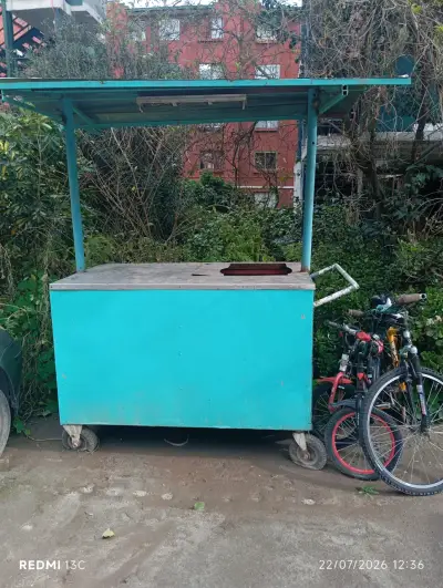 Carro de Comida Rápida con Techo - miniatura 1