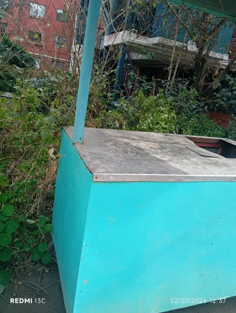 Carro de Comida Rápida con Techo - 3