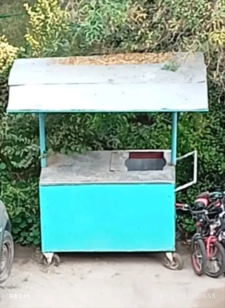 Carro de Comida Rápida con Techo - 4