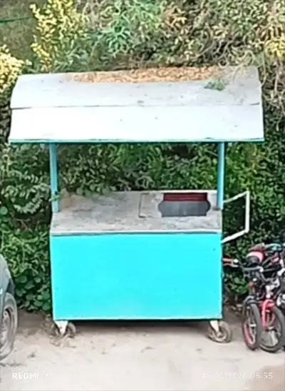 Carro de Comida Rápida con Techo - miniatura 4