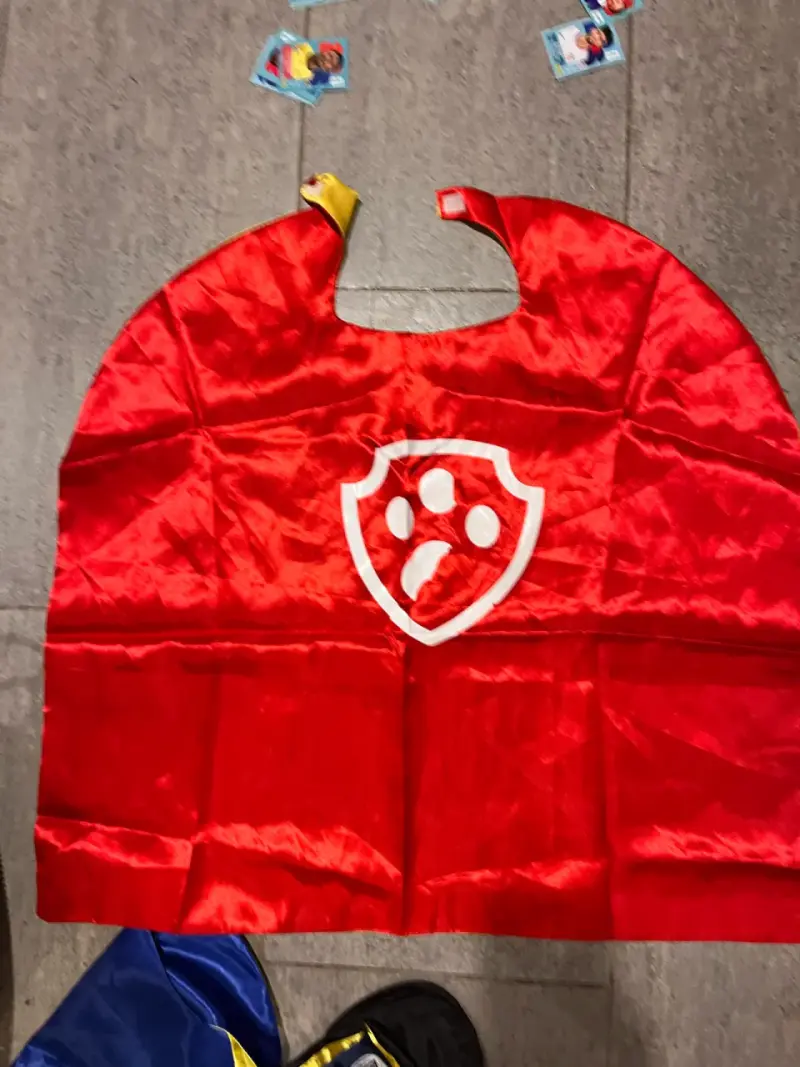 Disfraces Paw Patrol para niños - 4