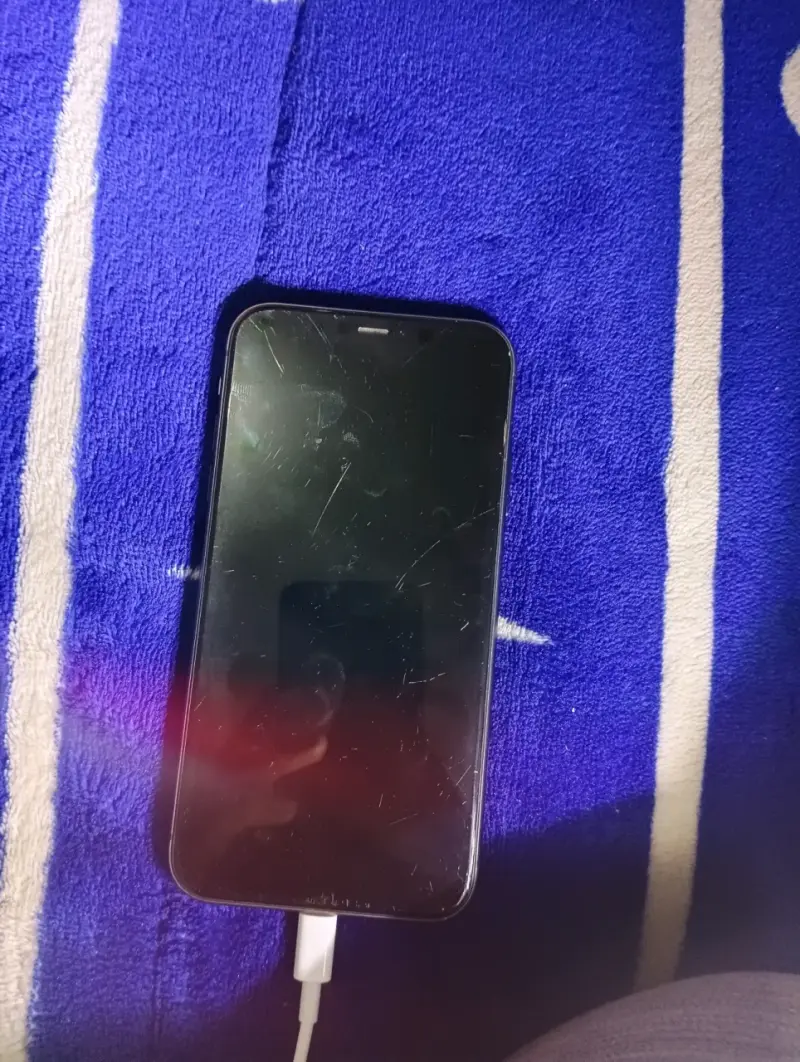 iPhone 11 repuesto - 2